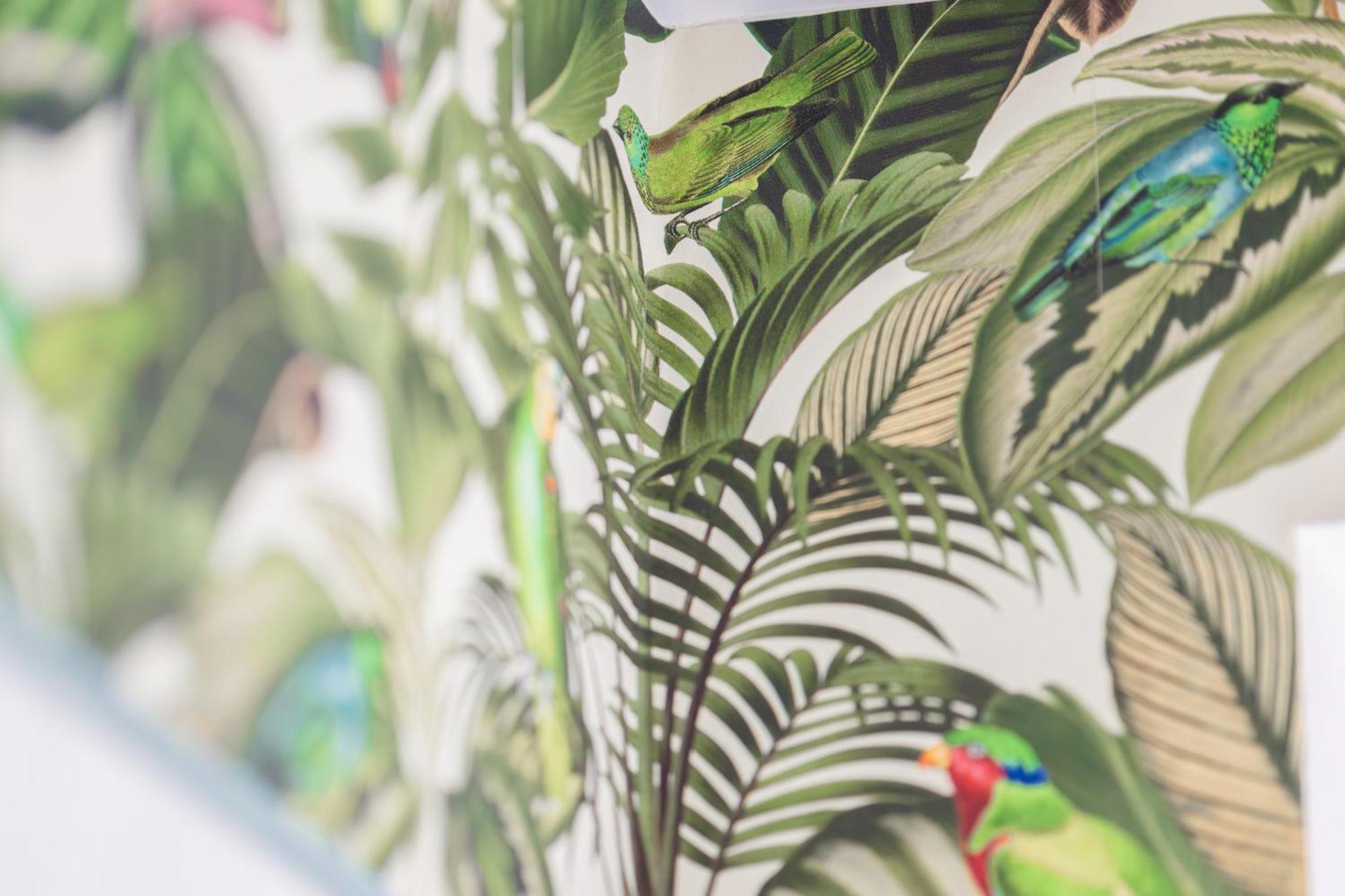 Stay Awesome - Urban Jungle Apartment Zentral, Wilhelmshoehe Cassel Extérieur photo